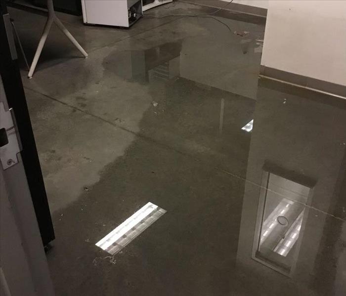 Wet concrete floor of a warehouse with white floors and grey trim.