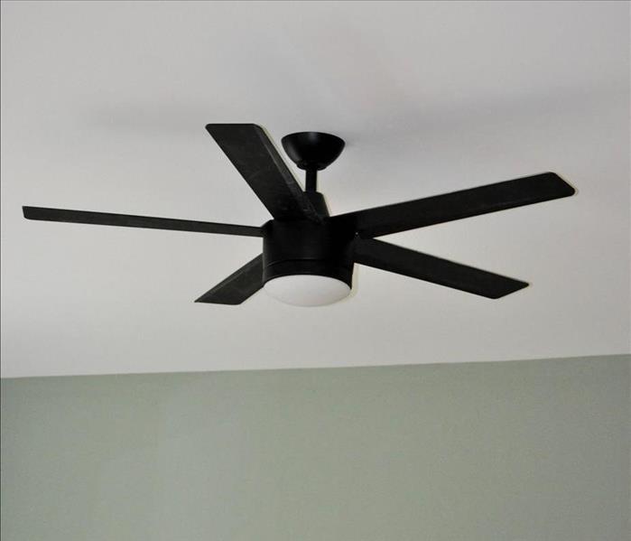 New black ceiling fan on a white ceiling with light green walls.