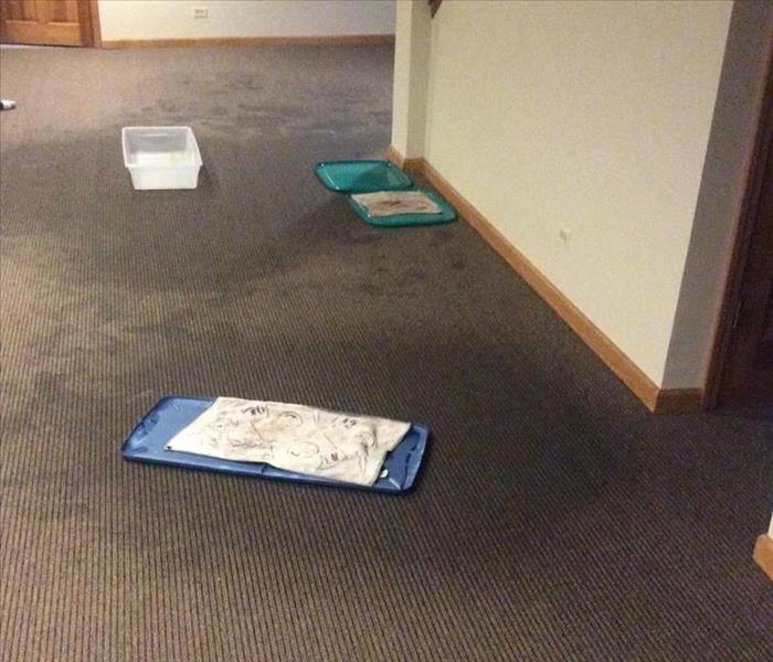 Wet grey carpet in a basement with wet spots on the floor with containers on the floor.