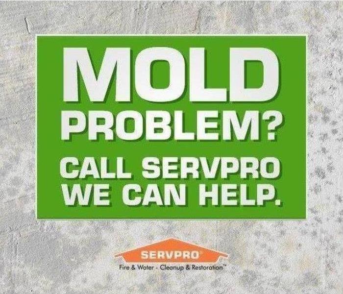 Green box that reads Mold Problems? Call SERVPRO we can help with a orange SERVPRO house logo under it.